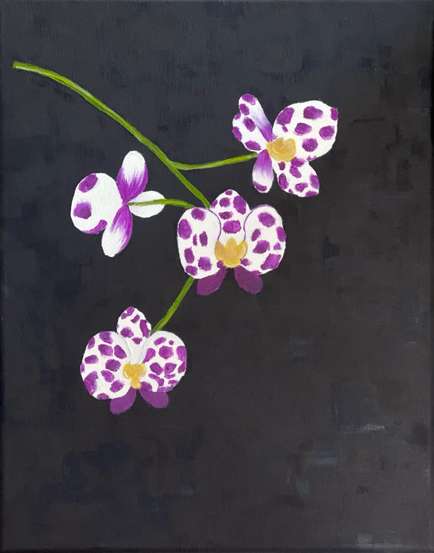 Spotted Orchid | 11” x 14”