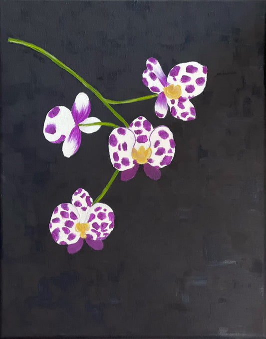 Spotted Orchid | 11” x 14”