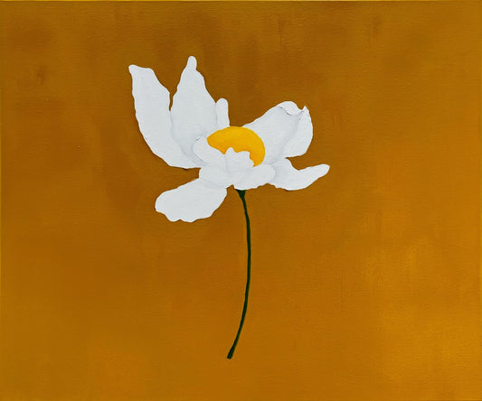 Matilija Poppy | 20” x 24”