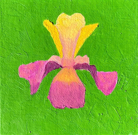 Mini Iris - 4" x 4"