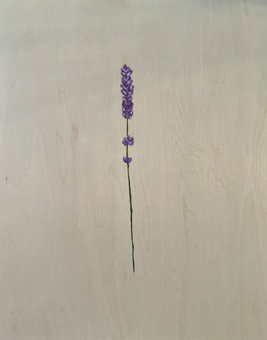 Single Strand of Lavender | 11' x 14"