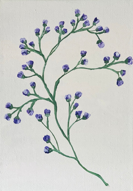 Morning Glory | 5" x 7"