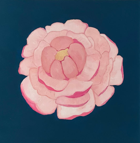 Peony | 10" x 10"