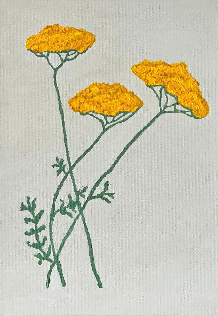 Yarrow | 5" x 7"