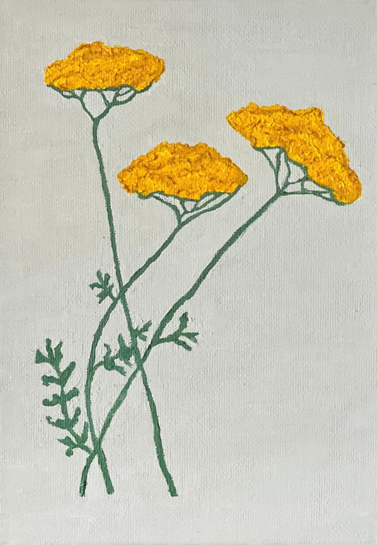 Yarrow | 5" x 7"